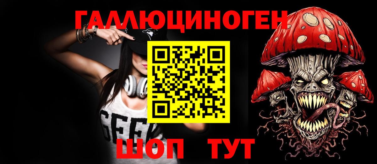 Галлюциногенные грибы Psilocybine cubensis Дмитров