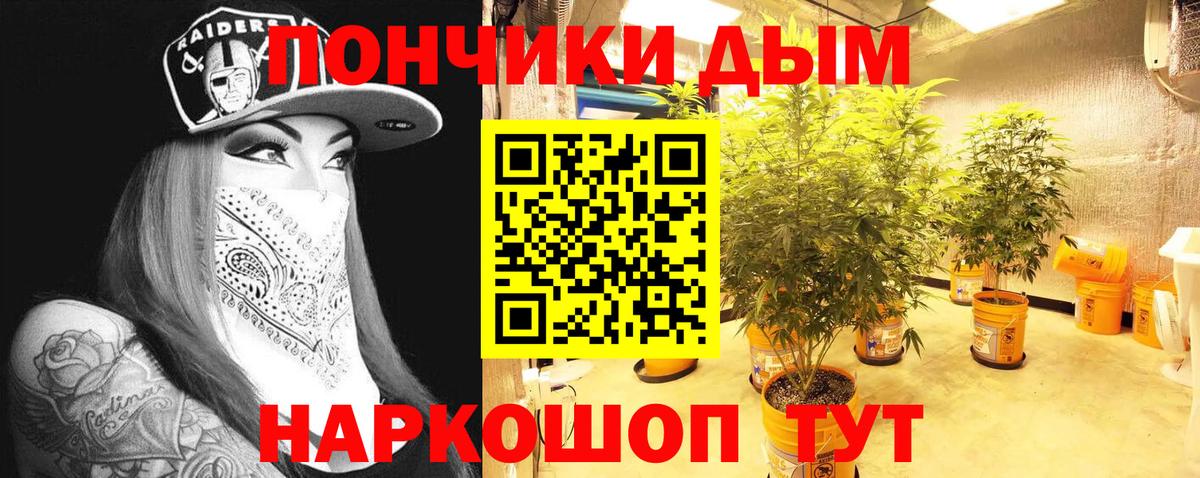Каннабис планчик  Вход с VPN  Бошки Шишки планчик  Дмитров  Бошки марихуана SATIVA & INDICA 